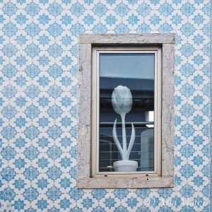 Cascais, Portugal - azulejos wall with tulip in the window