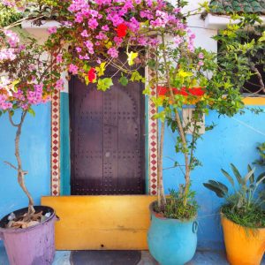 Kasbah-des-Oudaias,-Rabat---flower-adorned-door
