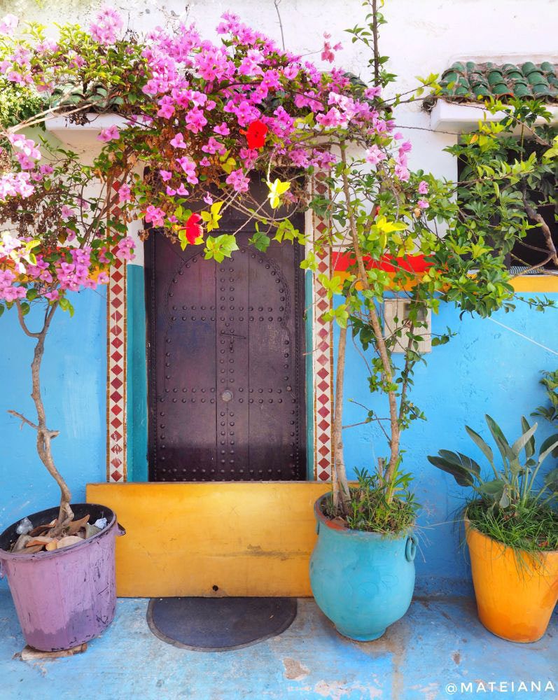 Kasbah-des-Oudaias,-Rabat---flower-adorned-door