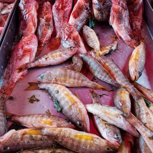 Catch-of-the-Day---Sunday-Fish-Market-in-Marsaxlokk,-Malta
