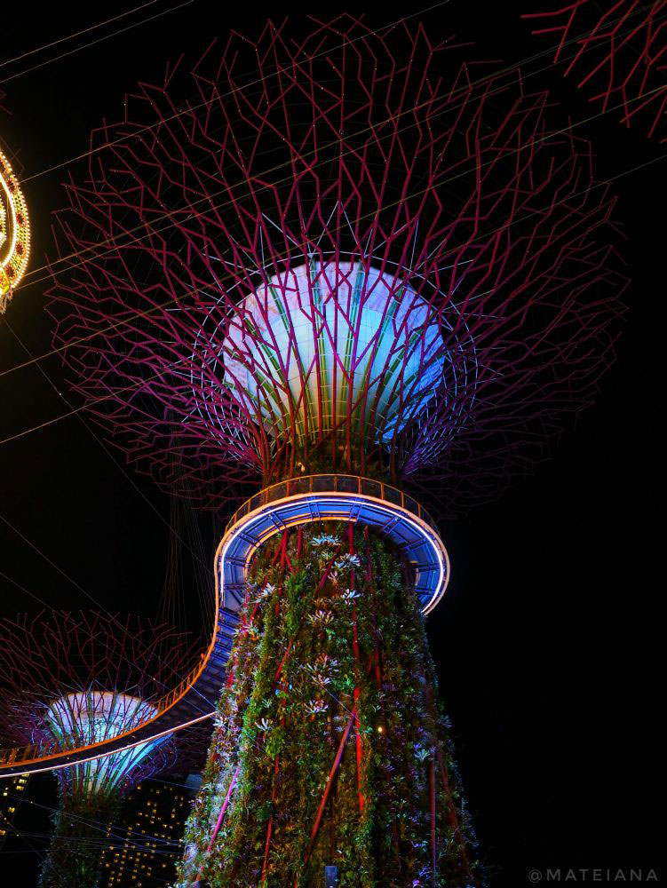 SuperTree-Grove-Light-and-Music-Show-in-Singapore